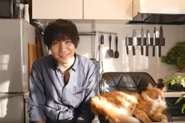 丈母娘最愛款《貓界阿基師》帥成這樣救人喔