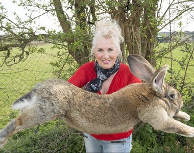 《聯航動物死亡率No.1》這樣以後誰還敢給寵物搭聯航