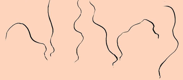 18禁漫畫實用工具 陰毛筆刷 超佛心同人繪師免費大公開