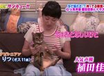 聲優植田佳奈《帶著3隻怪癖愛貓上電視》寵物竟然跟主人一樣會配音? 聲優植田佳奈《帶著3隻怪癖愛貓上電視》寵物竟然跟主人一樣會配音?