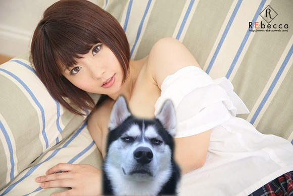圖片1 圖片1