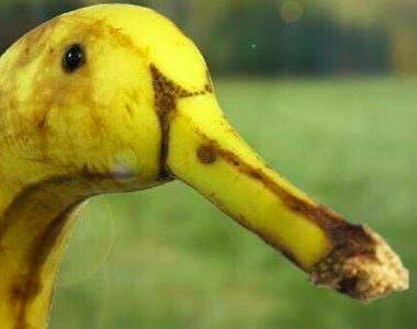 《讓人忍不住多看兩眼》的照片 其實都是因為巧合啊