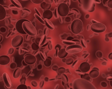 《血型科學》根本是O型血的大勝利！