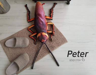 超恐怖《蟑螂抱枕 壁虎抱枕》送給討厭的那個人的最佳禮物