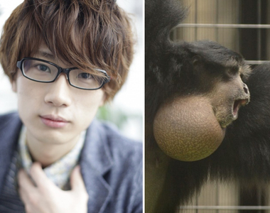 《叫聲超像聲優江口拓也的合趾猿》還是經過江口媽媽認證的喔www