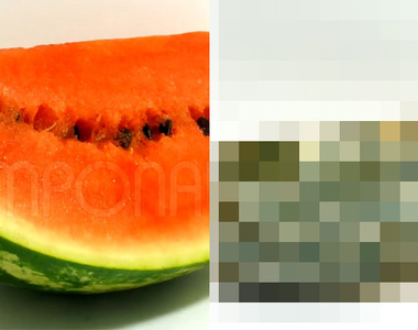 《食物腐壞過程縮時》當你的食物放了一兩天還有三十天後會變成？