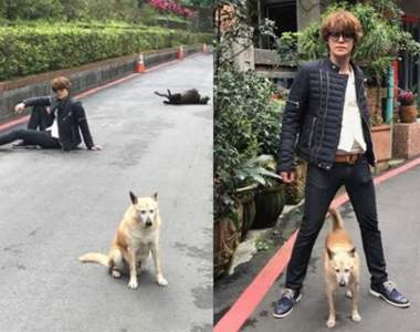 聲優王子《宮野真守》在台灣九份街頭跟冷淡的汪星人一起耍帥✰