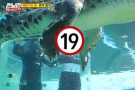 被說好像小辣椒《韓綜不小心拍到鱷魚的小GG》 鱷魚聽到一定會生氣的