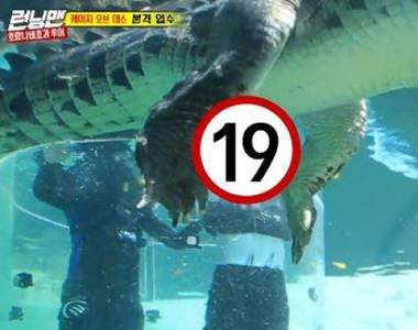 被說好像小辣椒《韓綜不小心拍到鱷魚的小GG》 鱷魚聽到一定會生氣的