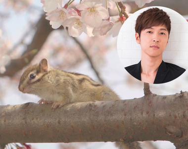 建議使用耳機《櫻井孝宏》飾演執事栗鼠尋找大小姐的房間