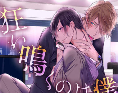 《BL大賞2017：最佳新人＆最佳入門作品》快來充實精神糧食書單囉♥