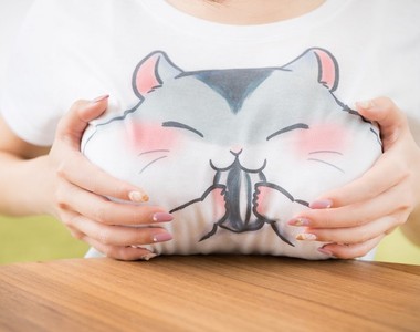 妄想商品《超可愛的倉鼠吃葵瓜子T桖》心機設計:有料的女生穿起來更可愛
