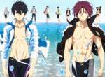 瞄準女性向《Free!劇場版動畫3連發》京阿尼繼續襲捲少女心❤ 瞄準女性向《Free!劇場版動畫3連發》京阿尼繼續襲捲少女心❤