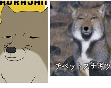 眼神死《藏狐爸爸砂岡》面無表情但內心溫柔的好好先生