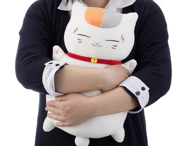 超實用報紙專題《正確的布偶清洗法》不是不能洗而是看你會不會洗……