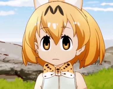 太傷心《德島動物園的藪貓朋友咪咪因病逝世》人類朋友共同哀悼…