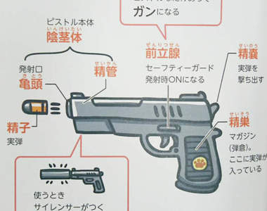《小GG就像一把手槍》創意健康教育書籍教會我們新觀念