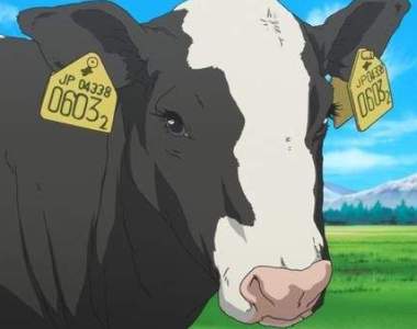 真實統計《不可思議的受傷理由》過去一年有1700多人被牛撞傷過(´⊙ω⊙`)