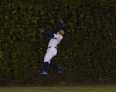 職棒隊伍破除百年魔咒《官方認證樹葉開賣》一片要價6000塊.....