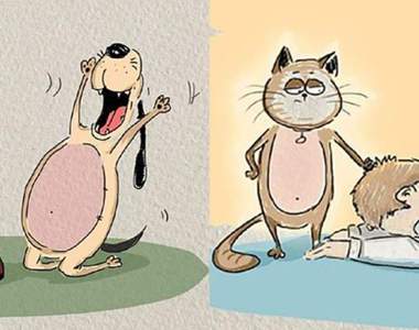 圖解《貓與狗的爆笑差異》天與地的差別就是長這樣吧ww