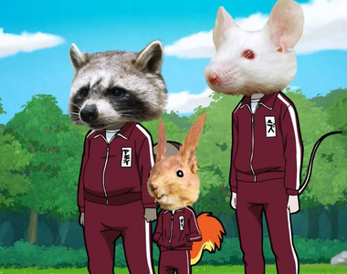 超準心理測驗《遇到困難願意捨棄的東西》窮到只剩錢會不會很悲哀……