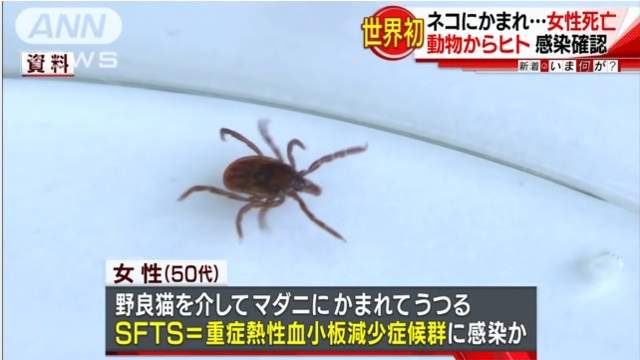 圖片3 圖片3