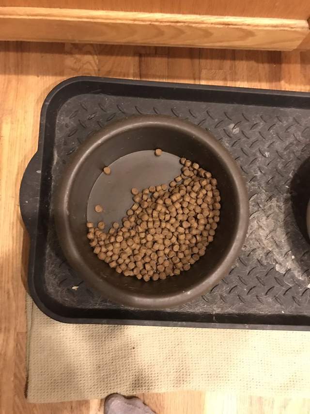 圖片2 圖片2