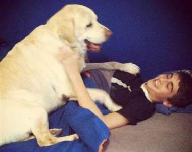 鼻酸《只吃一半飼料的狗》不是吃不下而是因為......