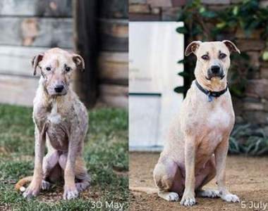 《重新獲得愛的轉變》從笑容中看到滿滿幸福♥