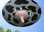從天而降乳牛奶頭《日本鮮乳廣告》太過直接的表現方式嚇壞推民ww 從天而降乳牛奶頭《日本鮮乳廣告》太過直接的表現方式嚇壞推民ww