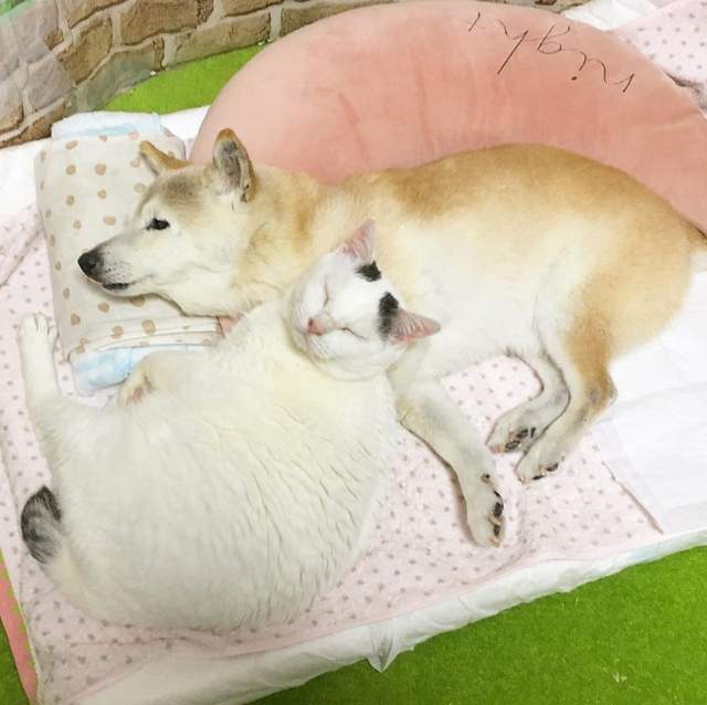 圖片3 圖片3
