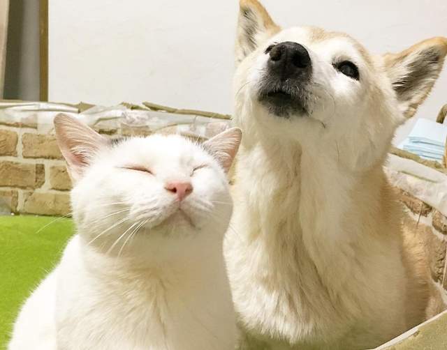 圖片2 圖片2
