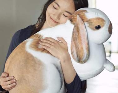 抱緊處理《等兔大抱枕》享受飼養大型兔兔抱滿懷的實感