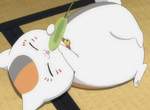《夏目友人帳》第6季即將完結☆推出超萌《貓咪老師LINE貼圖》 《夏目友人帳》第6季即將完結☆推出超萌《貓咪老師LINE貼圖》