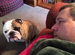 《傷心鬥牛犬》淚眼汪汪一臉寂寞的表情太可憐了QДQ 《傷心鬥牛犬》淚眼汪汪一臉寂寞的表情太可憐了QДQ