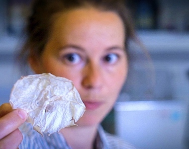 《水母脆片》原來海蜇皮可以變得洋芋片一樣!?