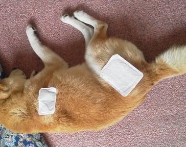 寒冬保暖對策《貼式暖暖包的最佳位置》貼對地方讓身體暖呼呼