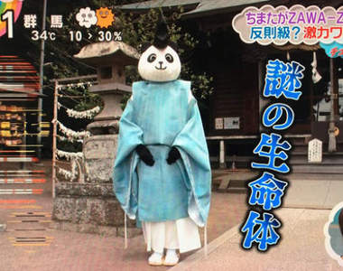 《日本神社出現熊貓宮司》超突兀景象引發推民瘋傳...