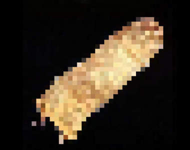 長知識《初代日常用品的樣貌》知道第一代保險套長怎麼樣嗎？