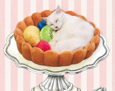 變成內餡的喵《水果塔貓床》只是睡覺也能讓主人拍出可愛照片♥