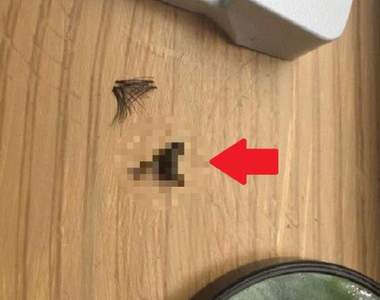 崩潰《假睫毛黏不上去的震撼真相》原來我把OO黏在眼上......