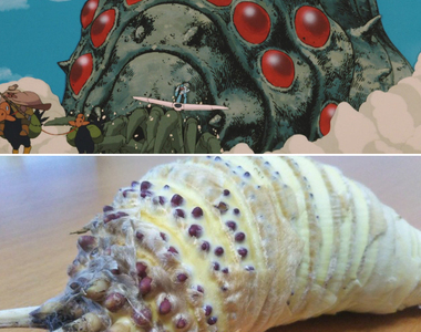 閱覽注意《剝竹筍變王蟲》啦、啦啦啦～啦啦啦～♪