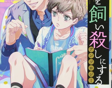 專攻正太控《漫畫合集主打少年》各種二次元正太超滿足