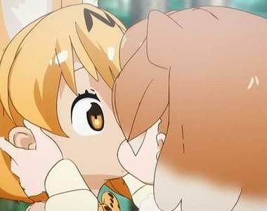 好厲害、好開心《小智是女孩啦!》作者柳田史太收看動物朋友後感想