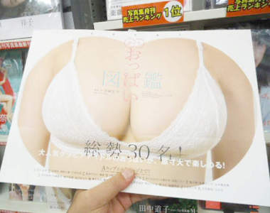 《原吋大歐派圖鑑》攤開書頁超壯觀絕景就在你眼前