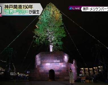 炎上《世界最高活的聖誕樹》挖樹齡150年巨木當聖誕樹引發日本網友批判