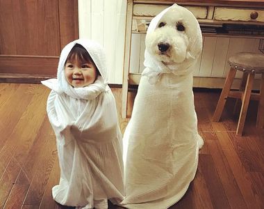 《小北鼻與大狗狗》一起生活的照片超暖心❤