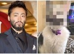 《如果山田孝之是喵星人一定長這樣》完全一致大爆笑引發瘋傳XD 《如果山田孝之是喵星人一定長這樣》完全一致大爆笑引發瘋傳XD