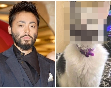 《如果山田孝之是喵星人一定長這樣》完全一致大爆笑引發瘋傳XD