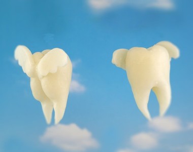 搞怪書店《牙齒相關周邊飾品》好像是牙齒愛好者協會的成員會喜歡感覺